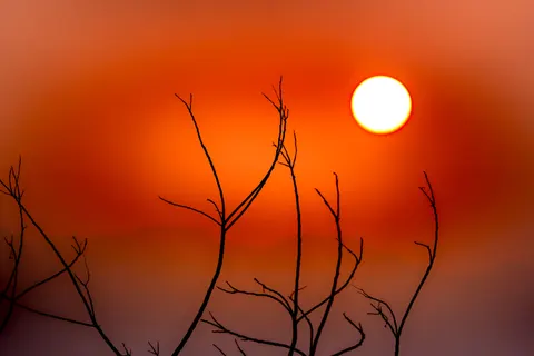 Savanna Sunset 4K Wallpaper · nature · 3840×2560