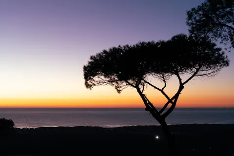 Обои Закат в саванне 4K · nature · 3840×2560