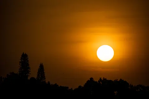 Fondo de pantalla Atardecer en la sabana 4K · nature · 3840×2560