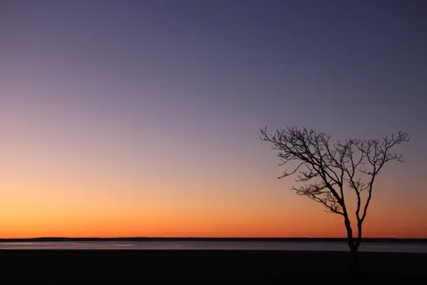 Fondo de pantalla Naturaleza 4K · nature · 3840×2561
