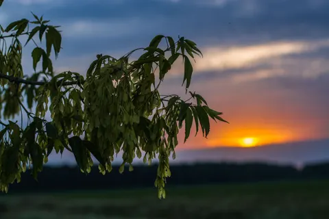 خلفية طبيعة بدقة 4K · nature · 3840×2560