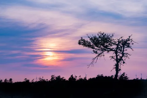 Обои Природа 4K · nature · 3840×2561
