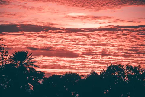 Fondo de pantalla Atardecer en la sabana 4K · nature · 3840×2560