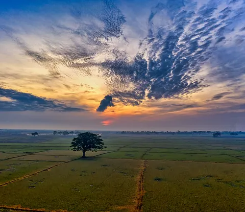 Fond d'écran Coucher de soleil sur la savane 4K · nature · 3840×3324