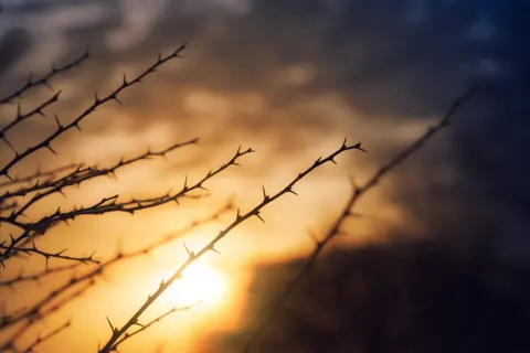 Обои Природа 4K · nature · 3840×2560