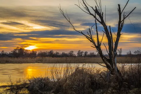 Savanna Sunset 4K Wallpaper · nature · 3840×2560