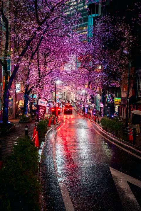 Rainy Street Phone Wallpaper · street · 1440×2160