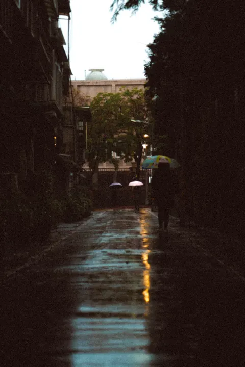 Rainy Street Phone Wallpaper · street · 1440×2159