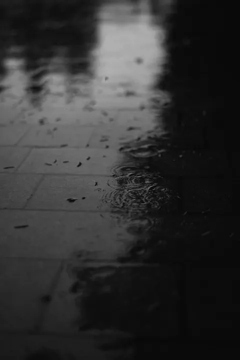 Rainy Street Phone Wallpaper · street · 1440×2160