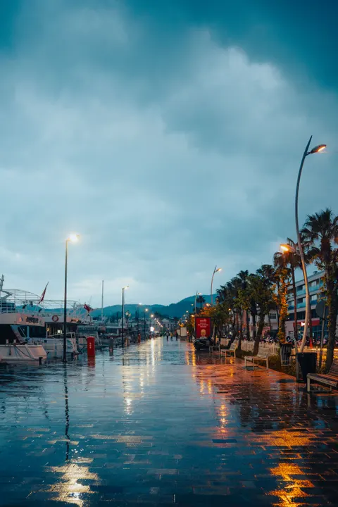 Rainy Street Phone Wallpaper · street · 1440×2160