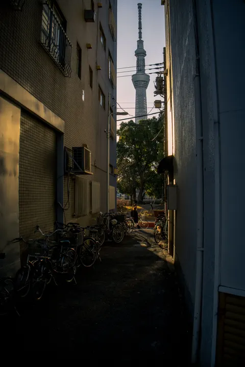 Tokyo Alley Phone Wallpaper · street · 1440×2160
