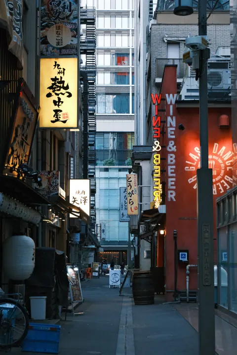 Tokyo Alley Phone Wallpaper · street · 1440×2160