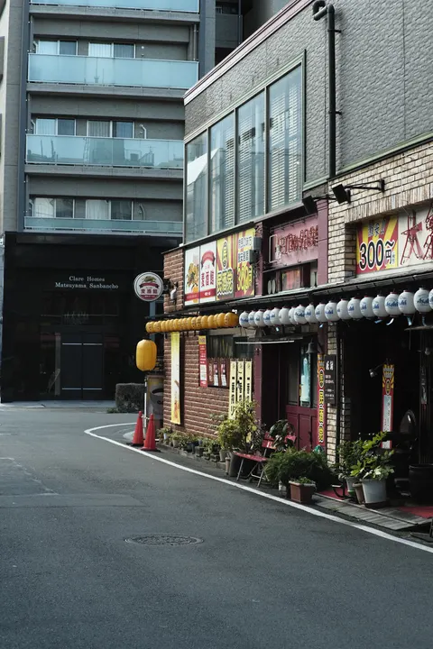 Tokyo Alley Phone Wallpaper · street · 1440×2160