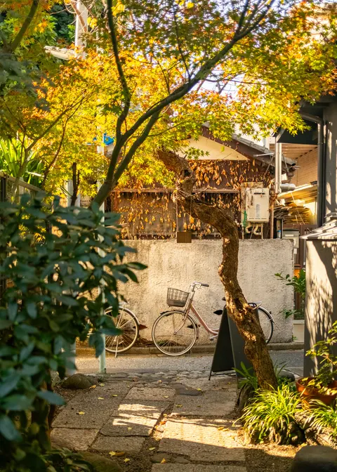 Tokyo Alley Phone Wallpaper · street · 1440×2015