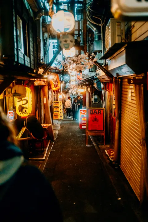 Tokyo Alley Phone Wallpaper · street · 1440×2160