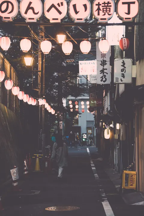 Tokyo Alley Phone Wallpaper · street · 1440×2160