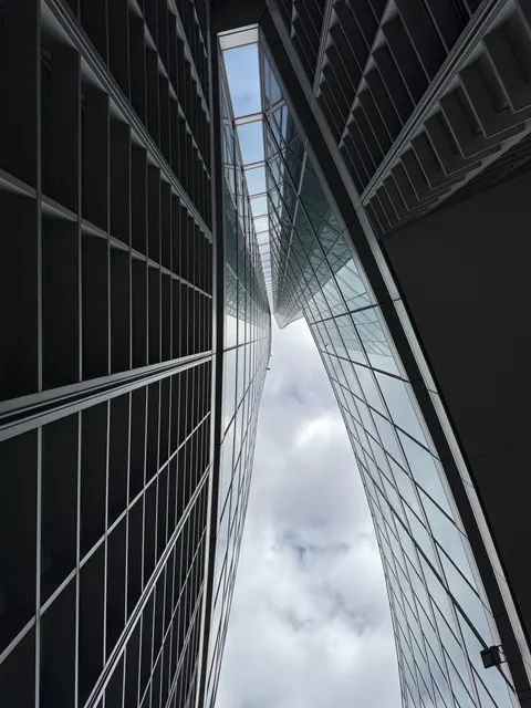 Looking Up Phone Wallpaper · street · 1440×1920
