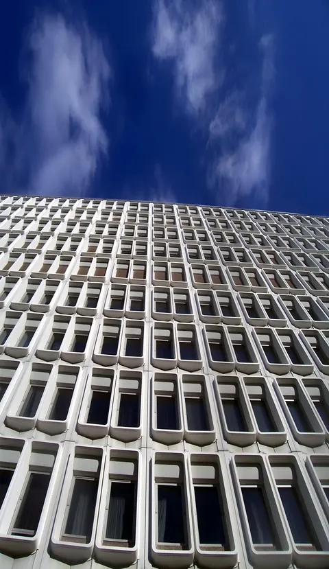 Looking Up Phone Wallpaper · street · 1440×2488