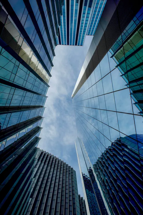 Looking Up Phone Wallpaper · street · 1440×2160