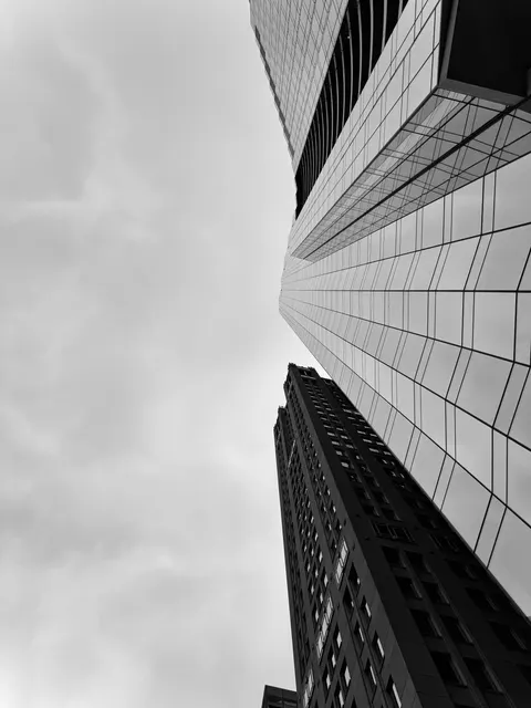 Looking Up Phone Wallpaper · street · 1440×1920