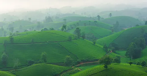 绿色山丘 4K壁纸 · nature · 3840×1978