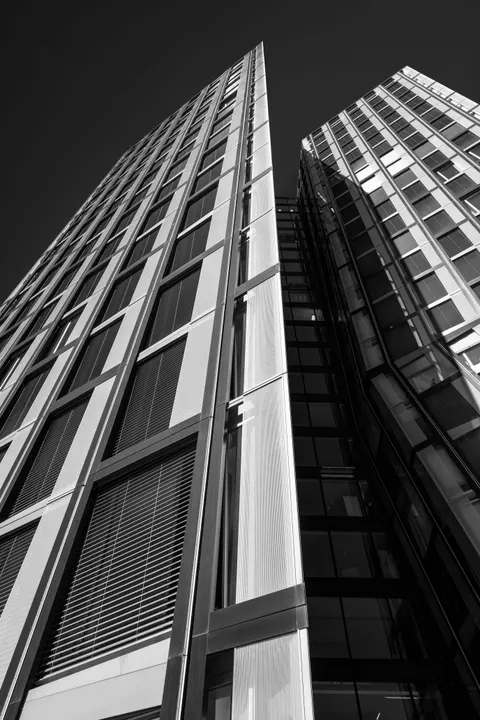 Looking Up Phone Wallpaper · street · 1440×2160