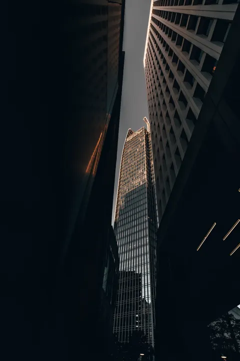 Looking Up Phone Wallpaper · street · 1440×2160