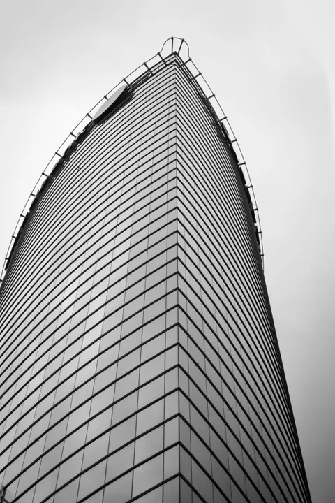 Looking Up Phone Wallpaper · street · 1440×2160