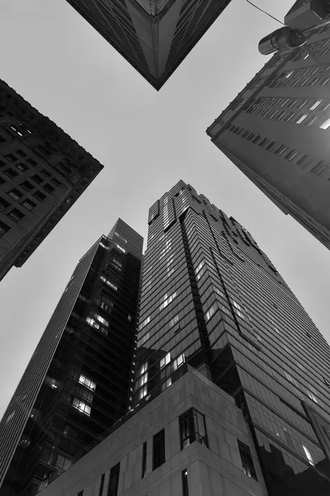 Looking Up Phone Wallpaper · street · 1440×2160