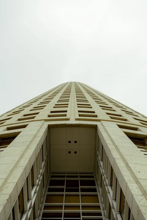 Looking Up Phone Wallpaper · street · 1440×2160