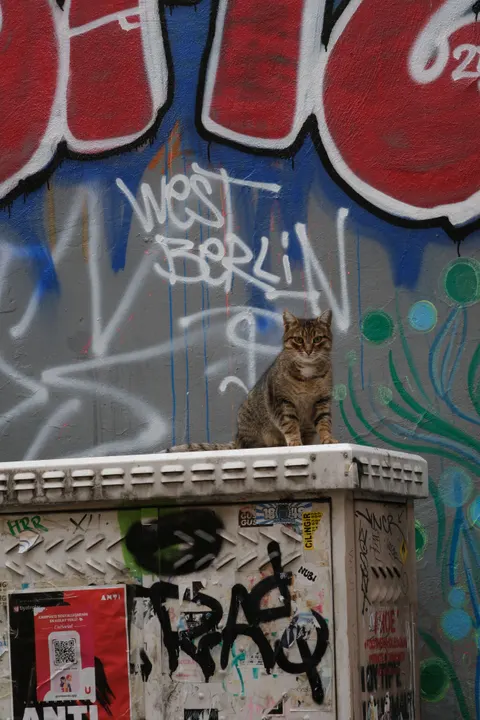 Street Art Phone Wallpaper · street · 1440×2160