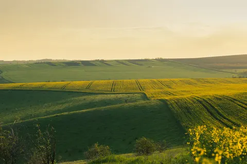 绿色山丘 4K壁纸 · nature · 3840×2560