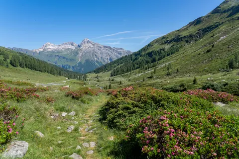 Mountain Trail 4K Wallpaper · mountains · 3840×2561