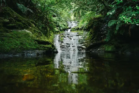 熱帯雨林の滝 4K壁紙 · nature · 3840×2560
