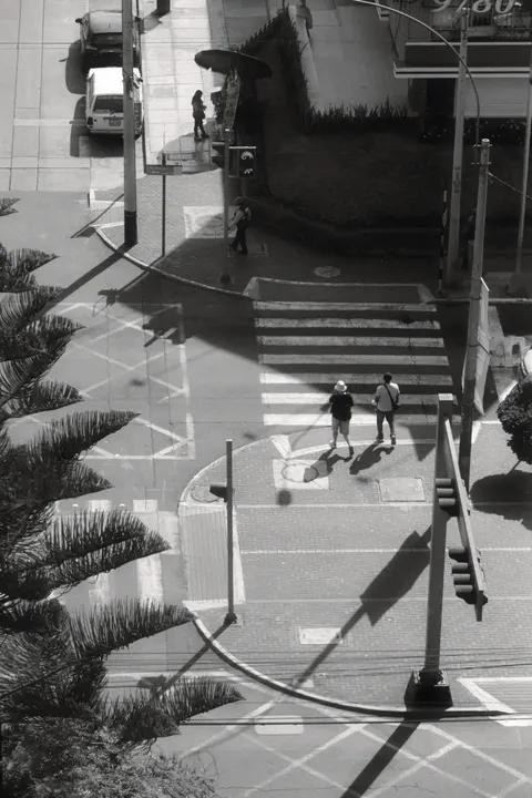 Crossing Phone Wallpaper · street · 1440×2160