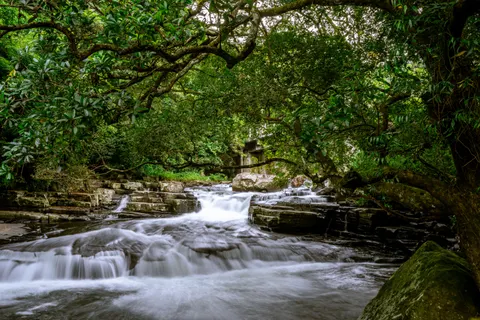 Rainforest Waterfall 4K Wallpaper · nature · 3840×2560