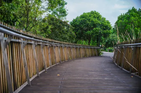 Bamboo Forest 4K Wallpaper · nature · 3840×2553