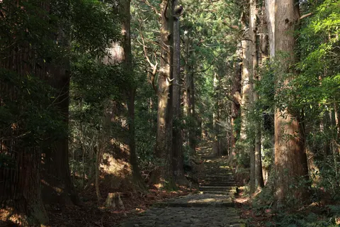 Bamboo Forest 4K Wallpaper · nature · 3840×2561