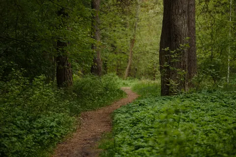 Natur 4K Hintergrundbild · nature · 3840×2560