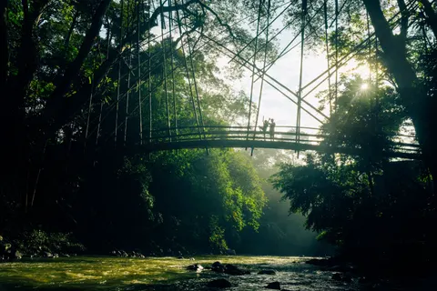 Bamboo Forest 4K Wallpaper · nature · 3840×2560