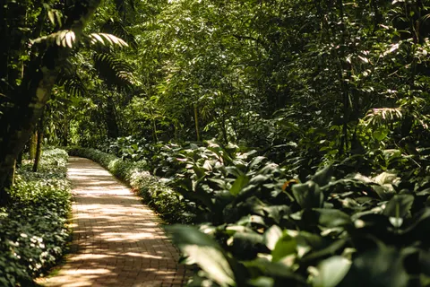 Bamboo Forest 4K Wallpaper · nature · 3840×2560