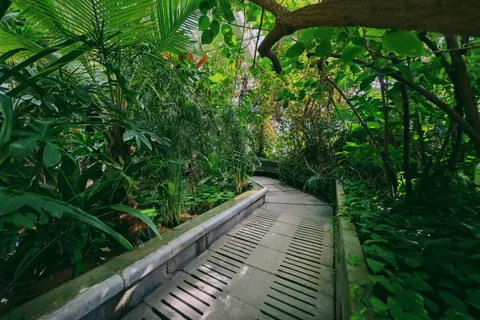 Papel de parede Natureza 4K · nature · 3840×2560