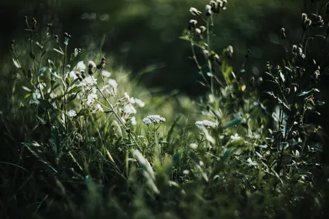 자연 4K 배경화면 · nature · 3840×2560
