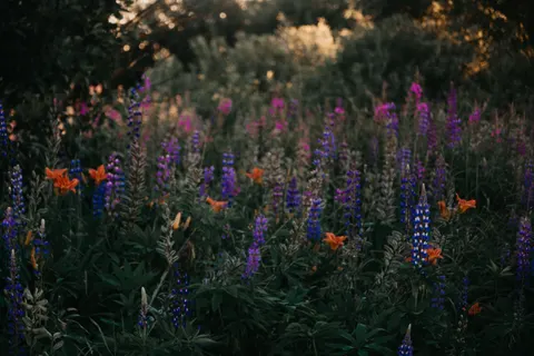 Papel de parede Natureza 4K · nature · 3840×2560