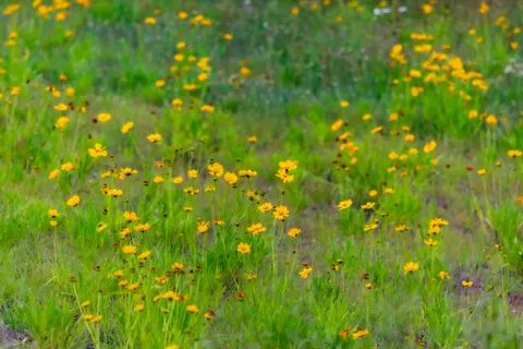 Papel de parede Natureza 4K · nature · 3840×2560
