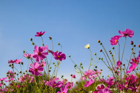 自然 4K壁纸 · nature · 3840×2560