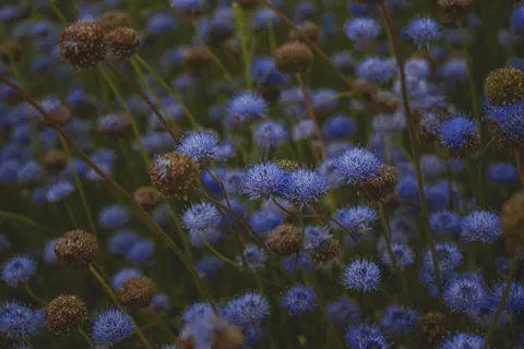 Natur 4K Hintergrundbild · nature · 3840×2560
