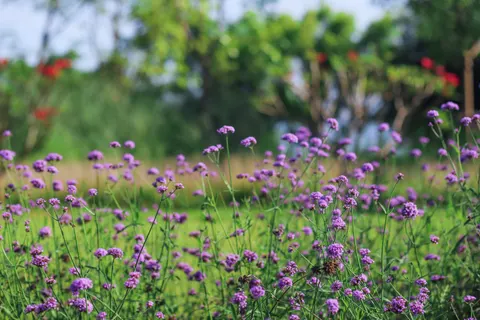 Natur 4K Hintergrundbild · nature · 3840×2560