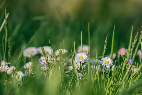 自然 4K壁纸 · nature · 3840×2560