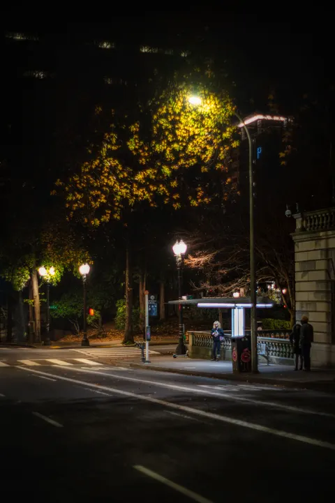 Night Street Phone Wallpaper · street · 1440×2164